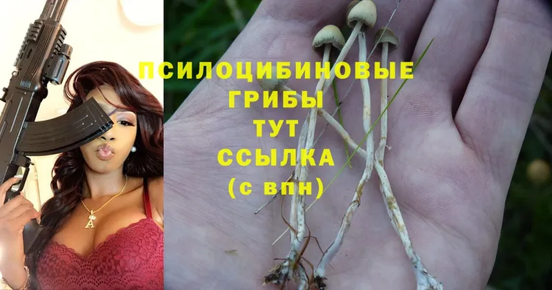 kraken ONION  Артёмовск  Псилоцибиновые грибы Cubensis 